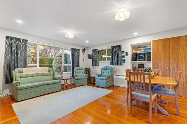 20 Carruthers Street Ilam_2