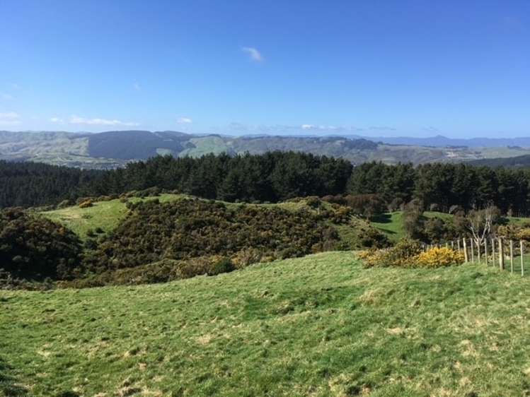 1039 Ohariu Valley Road Ohariu_2