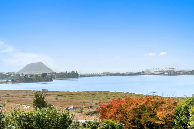 20b Montgomery Road Judea_0