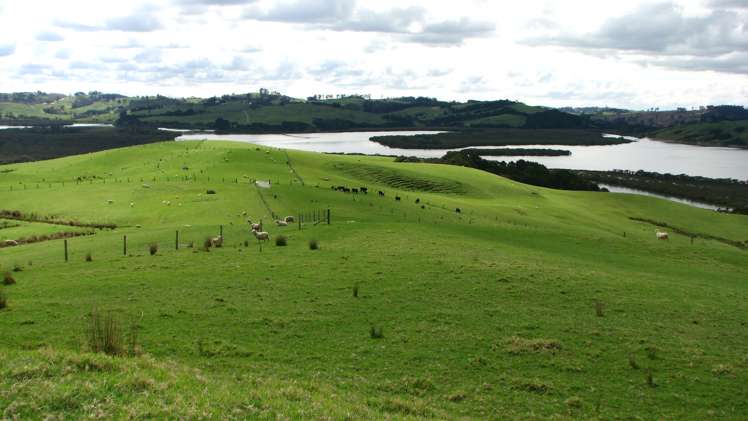 369 Burma Road Tapora_6