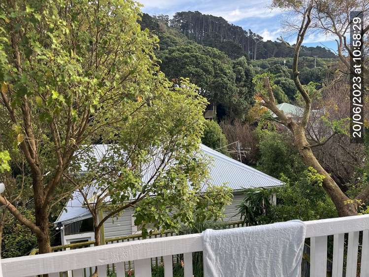 154 Hanson Street Newtown_4