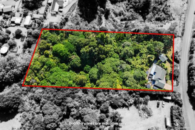 143 Wymer Road Glenbrook_11