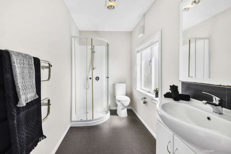 7b Boston Terrace Aro Valley_12