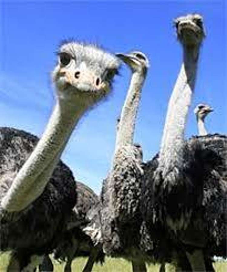 Address withheld Pukekohe_5