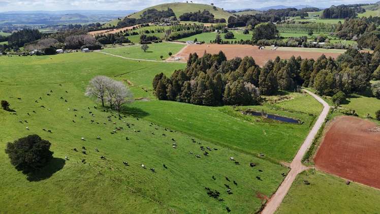 664 Te Pua Road Kaikohe_21