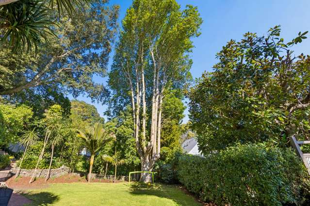 16A Ngauruhoe Street Mount Eden_3