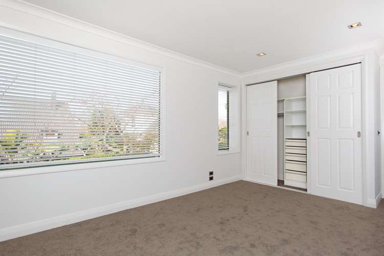 43 Georgina Street Freemans Bay_7