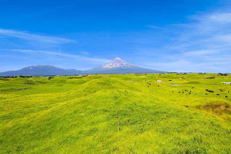 617 Parihaka Road Pungarehu_12