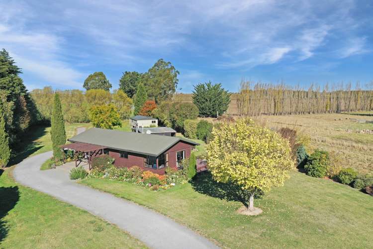 57 David Street Hinds_26