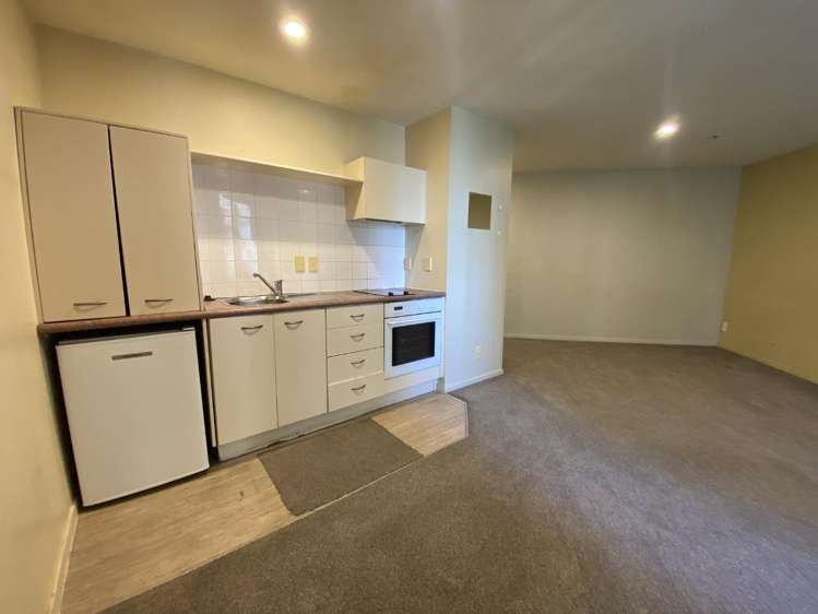 12H/33 Mount Street 10015_3