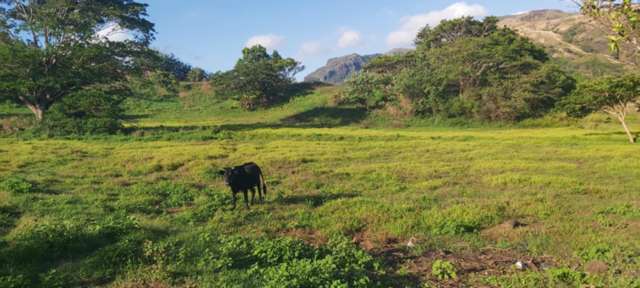 Lot 1 Benai Koronubu subdivision Ba_3