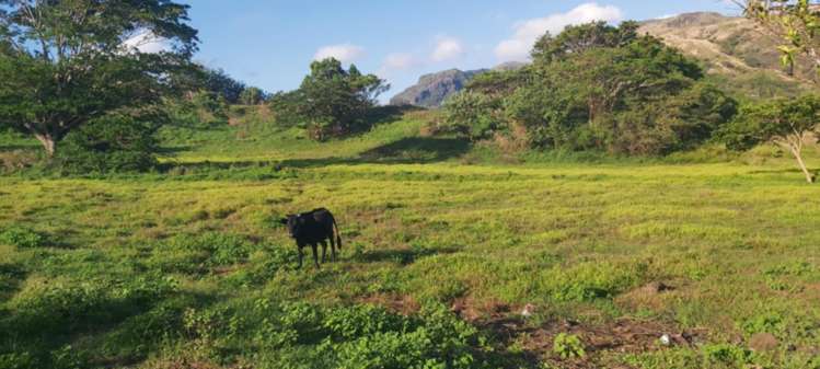 Lot 1 Benai Koronubu subdivision Ba_3