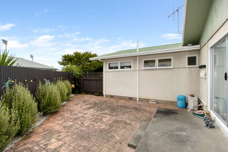 3/163 Vigor Brown Street Napier South_12