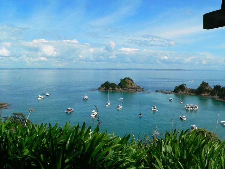 30 Woody Bay Road Rakino Island_10