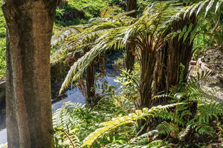 16a Highgate Avenue Merivale_24