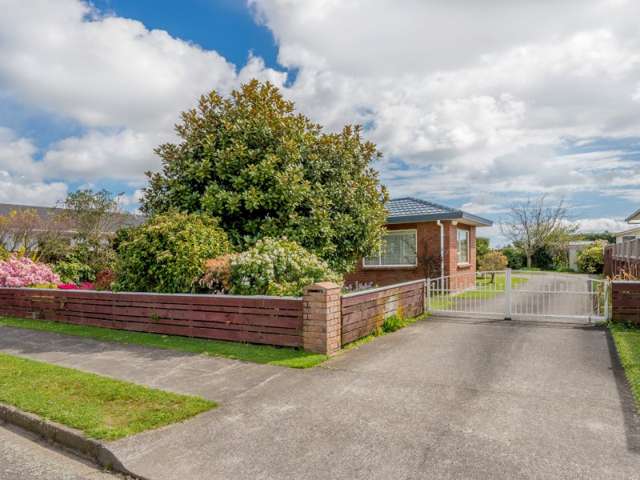 17 Featherston Street Levin_1