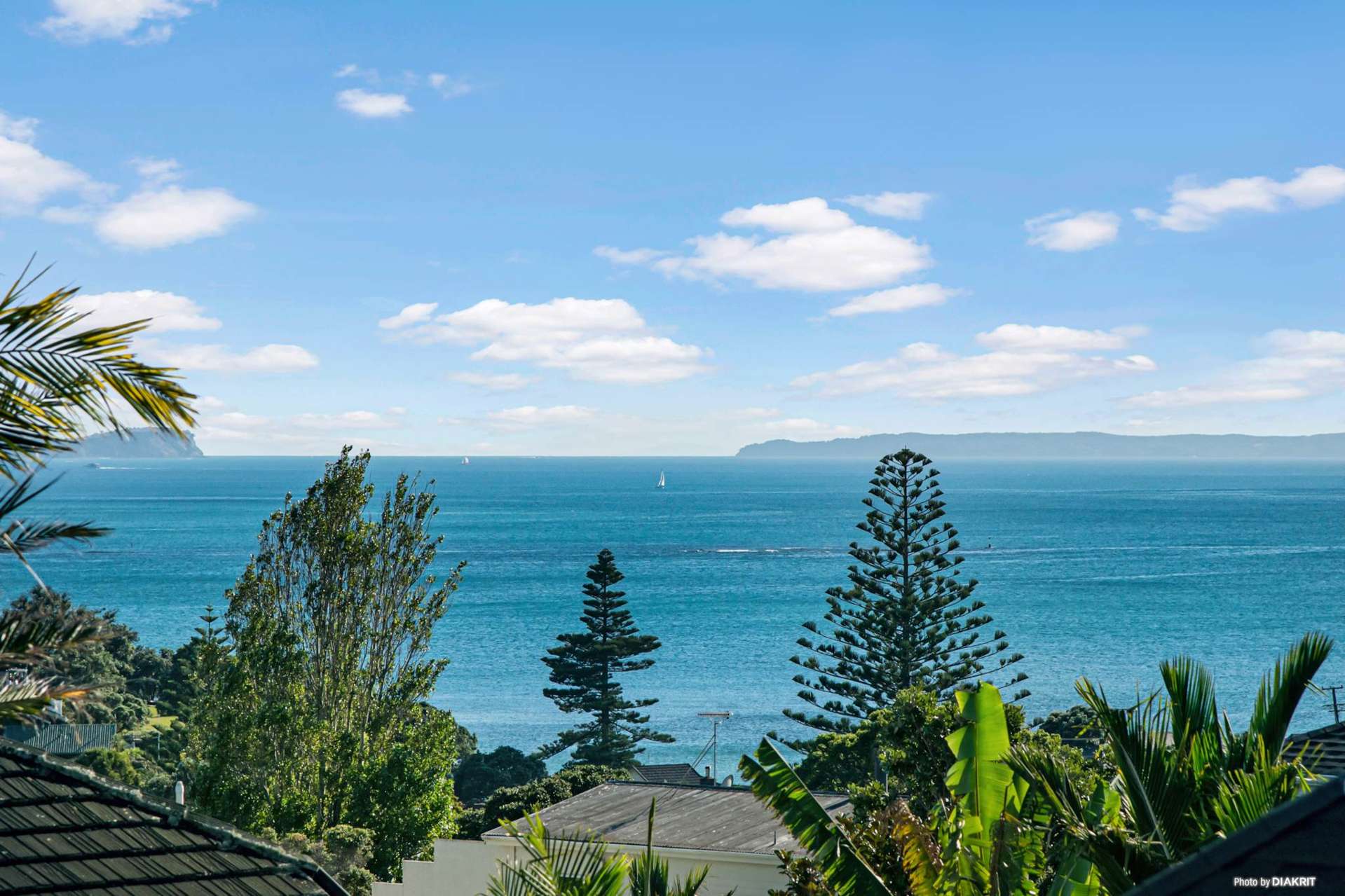 44A, B & C Braemar Road Rothesay Bay_0