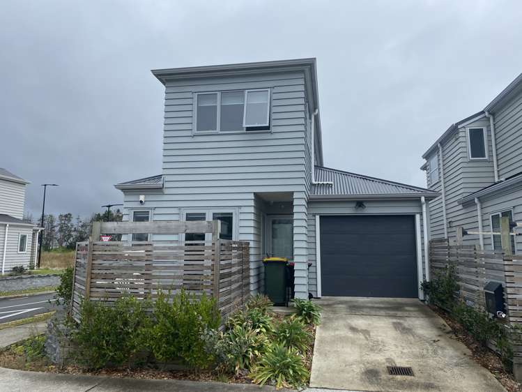 77 Divide Loop Takanini_9