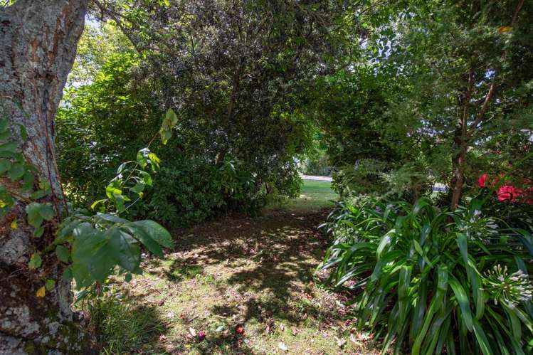 96 Centennial Avenue Te Aroha_14