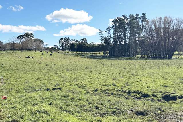 11 Bobs Way Dairy Flat_2