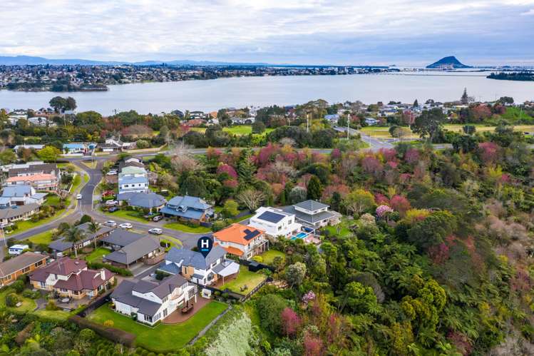 18 Curlew Close Maungatapu_20