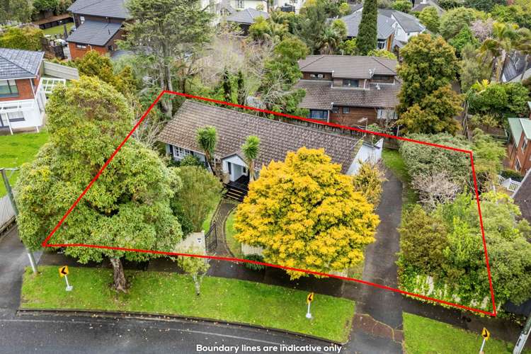 8 Ashby Avenue Saint Heliers_18