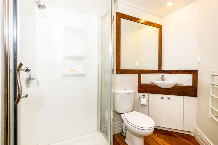 81 Lincoln Street Ponsonby_10