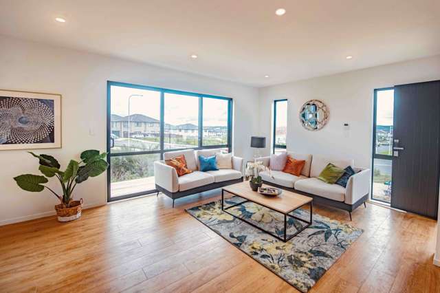 81 Thomas Road Flat Bush_1