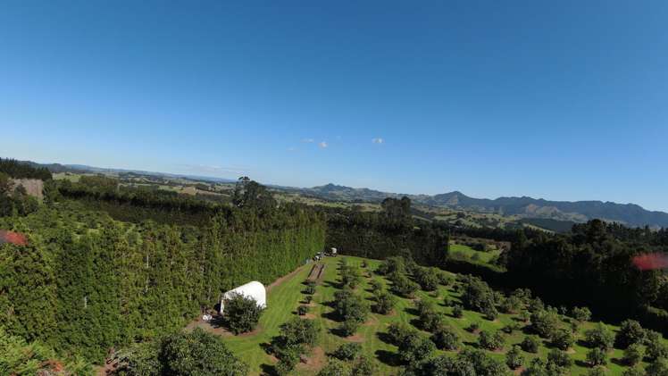 122 Norris Road Maungatapere_16