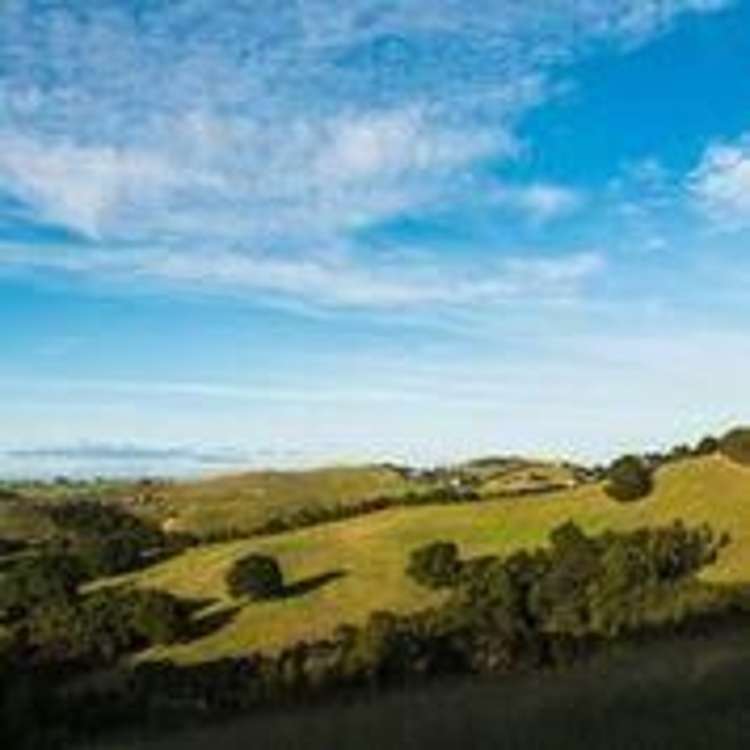 110 Birch Road Ruawai_12