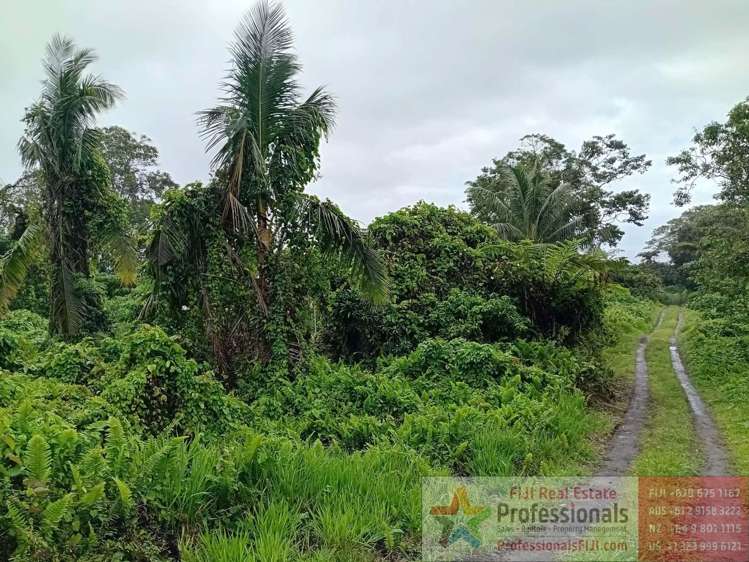 Address withheld Taveuni_10