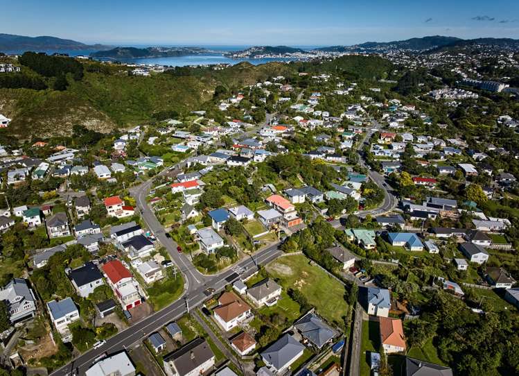 40 and 42 Fraser Avenue Johnsonville_10