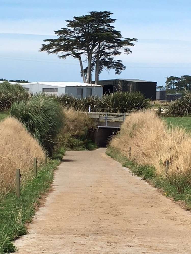 1703 Eltham Road Riverlea_6