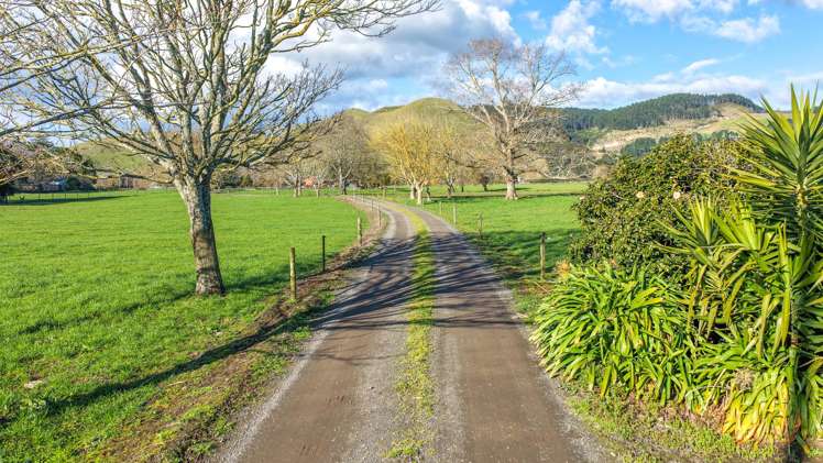 6379 State Highway 26, Tirohia Paeroa_18