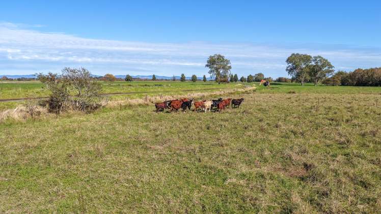 134 and 142 Station Road Puriri_11