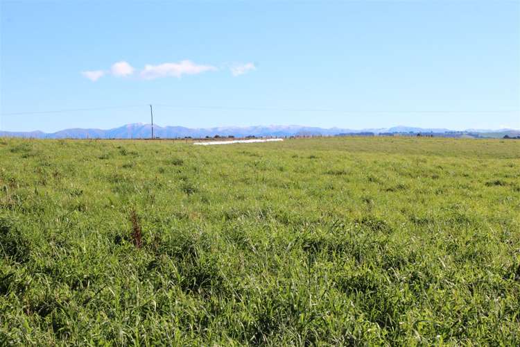 278 Beaconsfield Road Fairview_20