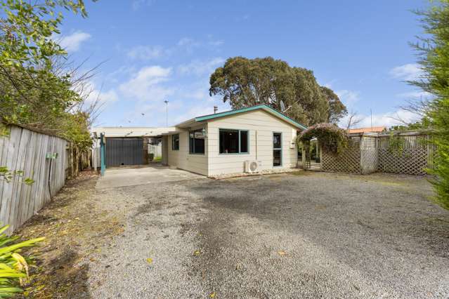 175A Mill Road Otaki_2