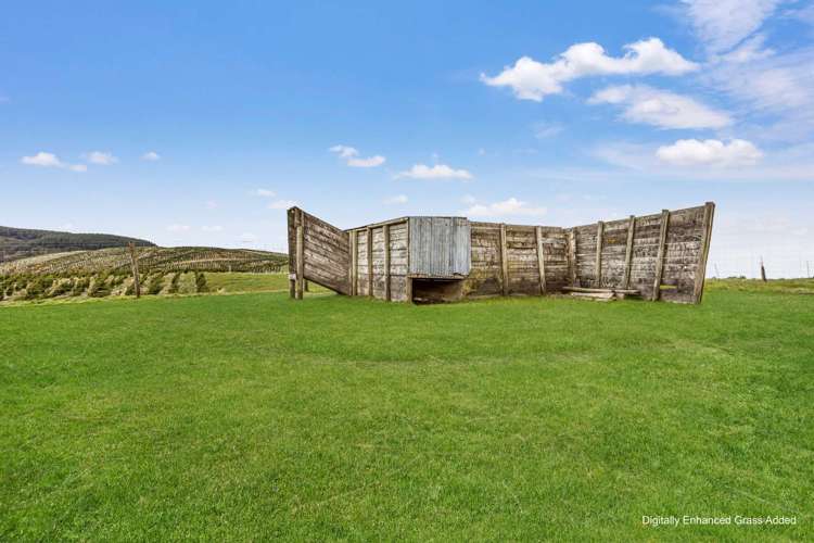 655 Rankleburn Road Tapanui_16