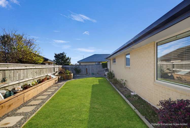 19 Korari Grove Redwoodtown_7
