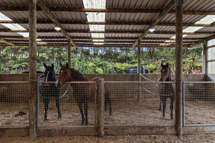 46 Keaney Road Ararimu_36