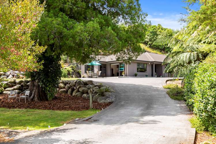 370 Tukapa Street Hurdon_0