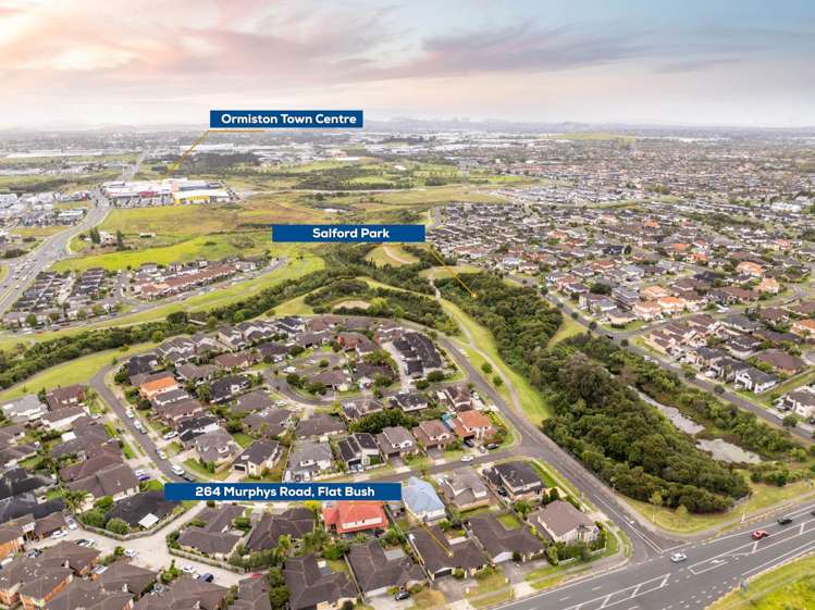 264 Murphys Road Flat Bush_20