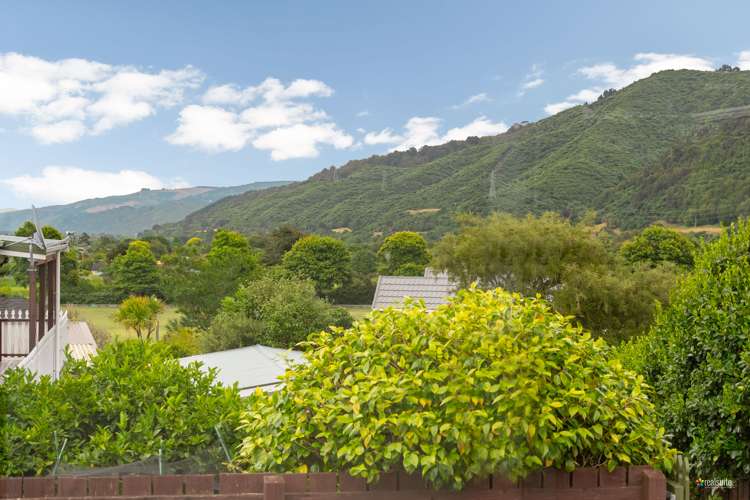 33- Roband Crescent Brown Owl_13