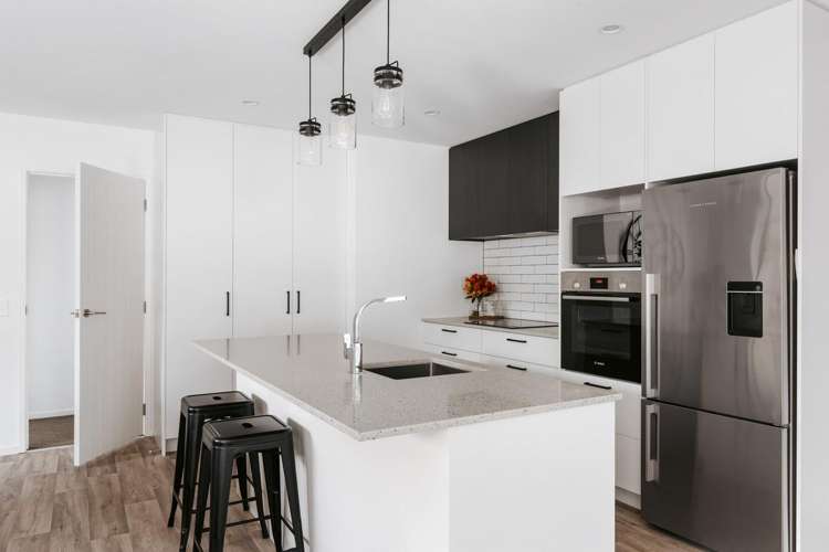 57 Harrier Street Parkvale_6