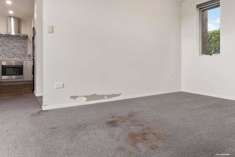 110 Helenslee Road Pokeno_18