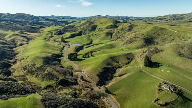 'Palmdale' - Premium North Canterbury Farm