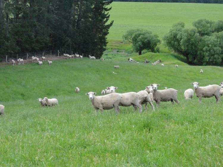 573 Glenmark Drive Waipara_0