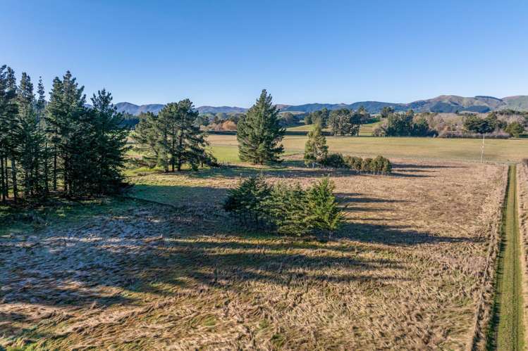 251 Homeview Road Cheviot_33