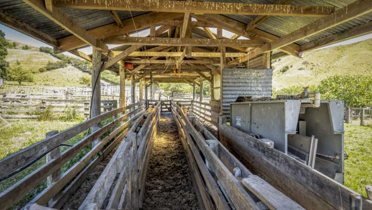 411 Cannock Road Hinakura_8