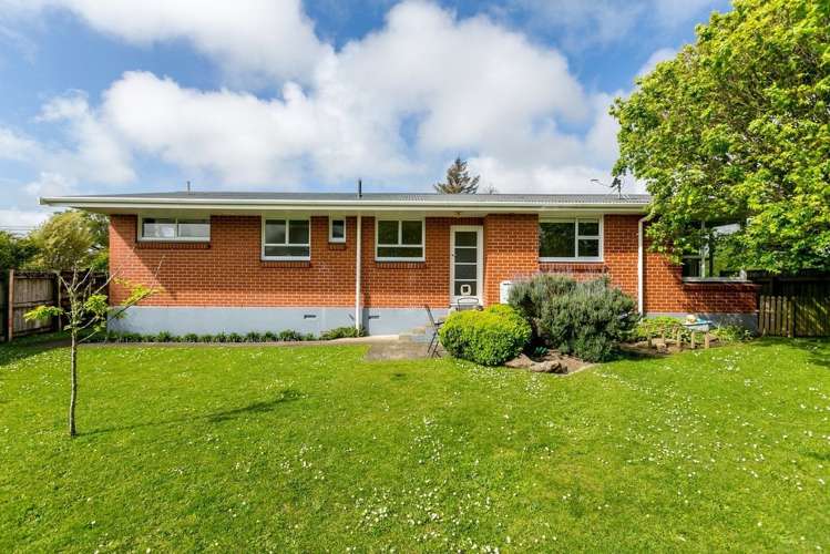 252 Huatoki Street Upper Vogeltown_18